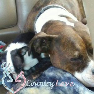 Meet your Posher, Karma